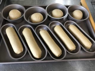 9、胚芽金枪鱼包,将所有的面团塑性好之后放入模具中