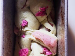 5、樱花抹茶豆沙面包,2发20分钟~完成后点缀上泡过的腌渍樱花，可以不吸干水分。190度20分钟入烤箱