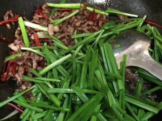 15、豆芽爆炒小肉丝,放入韭菜煸炒3秒左右，韭菜不要炒太久，很容易软