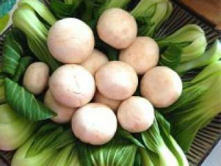 1、简单实惠的家庭版火锅,油菜、口蘑洗好摆盘。