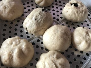 24、芝麻蜂蜜包,有点丑（很丑，、、、、、