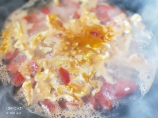 14、西红柿海角面,加水煮开