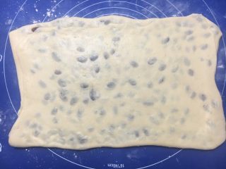 20、中种葡萄干吐司,继续擀开成长方形