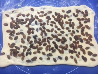 21、中种葡萄干吐司,撒最后一半的葡萄干