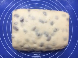 28、中种葡萄干吐司,发酵到两倍大