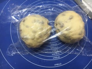 30、中种葡萄干吐司,分别滚圆盖保鲜膜静置10分钟