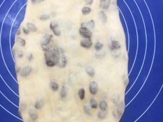 31、中种葡萄干吐司,取一个面团擀成长方形