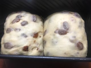 38、中种葡萄干吐司,发酵至两倍大即可