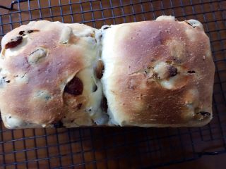 42、中种葡萄干吐司,出炉后震一下模具