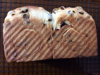 43、中种葡萄干吐司,脱模侧放冷却，切片或是掰着吃