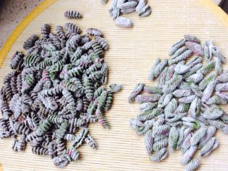 8、番茄酱素麻食,都搓好了备用。