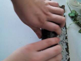 4、。紫菜包饭。（寿司）,慢慢的卷起来越紧越好