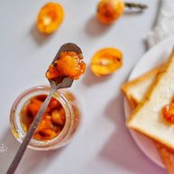 大果粒枇杷酱