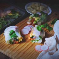 越南春卷春天的小清新