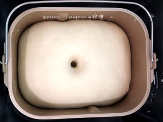 3、叉烧面包,揉圆放进面包机内进行第一次发酵发至1.5倍大，手指先沾上面粉，在面团表面上戳洞，若孔洞没有回缩就是发酵完成