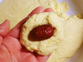 8、黄金小馒头,面已发酵好 取70克一份包入一颗红枣