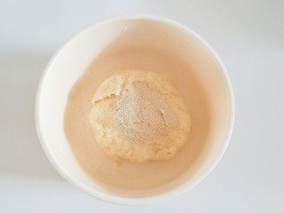 2、蔓越莓手撕小面包,再稍微揉至没有干粉能成团，把酵母放在表面盖保鲜膜室温静置20分钟。（此步骤为面团自解过程）