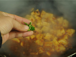 10、红烧豆腐,撒上麻椒碎末和葱花即可