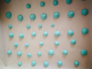 8、百变水果 蝶豆花蛋糕卷.百香果蓝莓馅,取出十五克左右的面糊加一点蝶豆花水,变成重一点的蓝色,装入裱花袋挤出圆点图形随意,烤箱160度,烤五分钟。