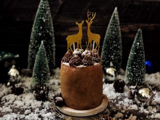 26、圣诞咖啡奶油蛋糕,成品图