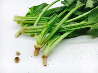 3、 #咸味# 蔬菜蛋炒饭,把菠菜掰成一根一根的。