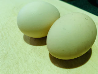 1、杏鲍菇炒鸡蛋,鸡蛋2个；