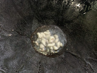 5、青椒炒杏鲍菇,热油锅,加入适量的蒜丁,爆炒出香味