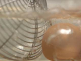 5、煎蛋 蒸蛋 溏心蛋,顺时针搅拌，再逆时针搅拌，重复多次，使蛋黄停留在鸡蛋中心