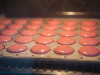 16、马卡龙,至表面结皮，手指轻轻按一下不会粘