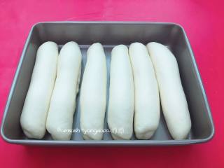 10、奶香排包,放入烤盘中进行最后发酵