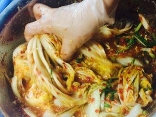 15、韩式辣白菜（辣酱调制）,在每个白菜里面都均匀的抹上腌料！