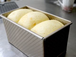 22、超详细步骤教你直接法无敌松软全麦肉松吐司,室温覆盖保鲜膜发酵至9分满（苏苏这里发酵的稍稍有些过了）， 如果使用发酵箱，这一步请设定为38℃