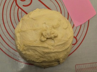 16、万能早餐-牛奶哈斯,拿出放在揉面垫中，轻轻排出面团里的空气。