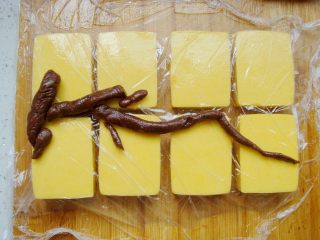 14、雅韵黄梅,可可面团搓成粗细长短不一的条状，隔着保鲜膜先大概的摆一下想要的图案轮廓。