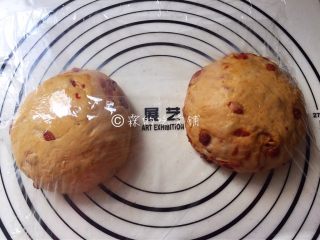 9、红糖枸杞软欧包,均分成两份后，揉圆排气，盖上保鲜膜松弛10分钟。