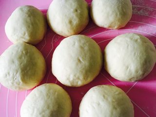 12、椰蓉面包,长大了一些