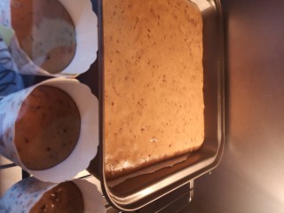 14、红枣糕（宝宝版）,放入烤箱上下180℃烘烤30分钟即可取出