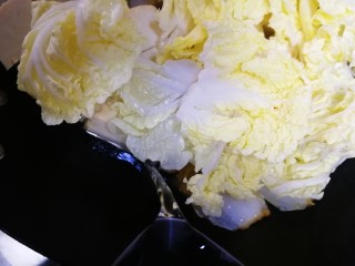 14、白菜炖豆腐,倒入适量开水。（白菜炖的时候还会出些水份）