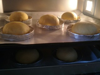 29、布里欧修汉堡面包????,发酵一小时,成原来体积的两倍大