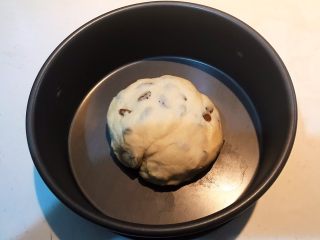 12、超软的葡萄干小餐包,盖上保鲜膜开始发面，大约60分钟后面团发至一倍大