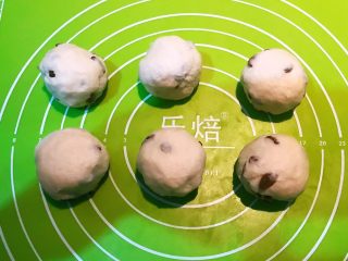 13、超软的葡萄干小餐包,把发好的面分成6等份，松弛10分钟后揉成光滑的面团