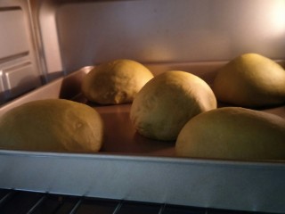 19、爆浆抹茶冰心面包,发酵1小时。变成两倍大。