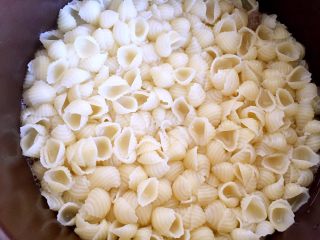 3、蚝油双椒牛肉贝壳面＋#面条变身计划#,水烧开，放点盐，下贝壳面煮熟，约5～8分钟，沥干水分，过凉水备用。