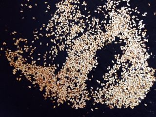 10、锅巴土豆,微微变黄，有芝麻的香味即可，别糊了