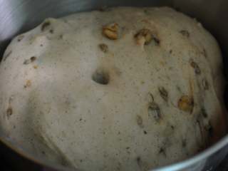 6、圣诞史多伦,盖上保鲜膜，发酵至两倍大。