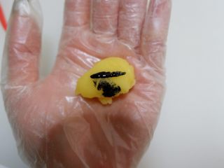 10、迪士尼莎莉鸡草莓大福,在取一点加入黑色色素(可用竹炭粉代替)