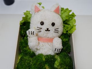 16、卡通招财猫牛肉饭便当盒,在用果酱笔画出胡子和猫爪。