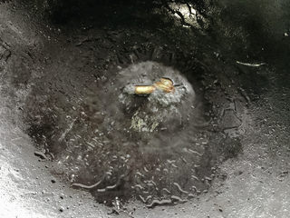 3、酸菜肥牛,加入葱白，爆炒出香味。