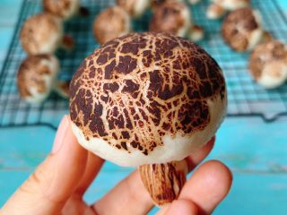 11、仿真蘑菇包,来一口？