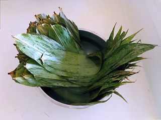 5、蜜豆糯米粽子,把粽子叶用温水浸泡10分钟，然后把粽子叶清洗干净
